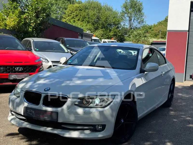 2012 BMW 318