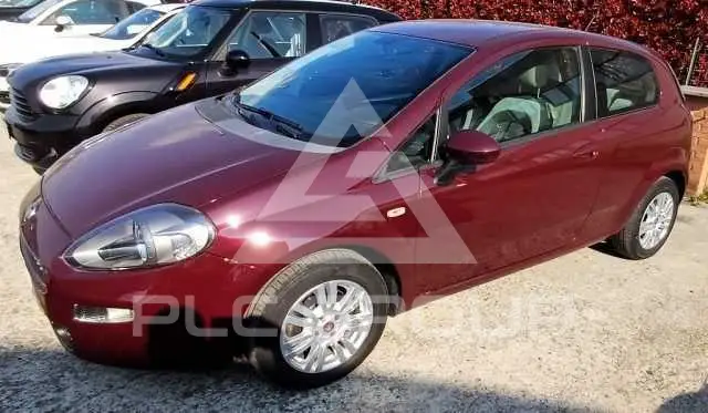 2012 Fiat Punto