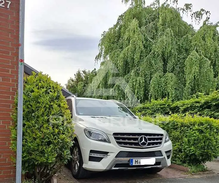 2012 Mercedes Benz ML 250