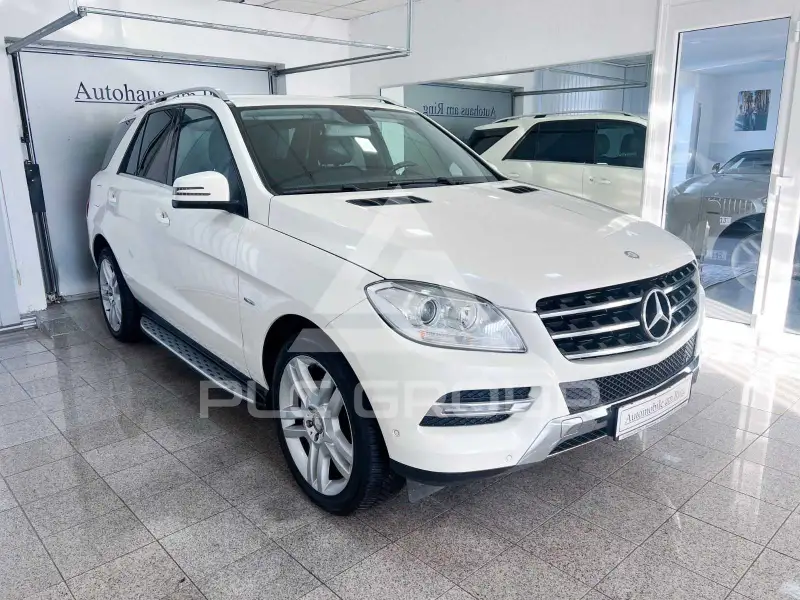2012 Mercedes Benz ML 250