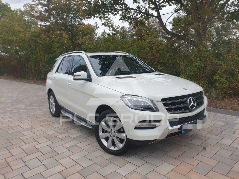 2012 Mercedes Benz ML 250