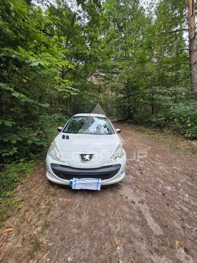 2012 Peugeot 206