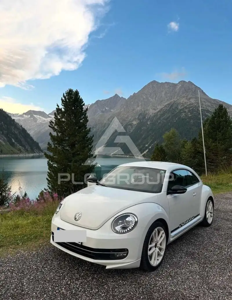 2012 Volkswagen BEETLE