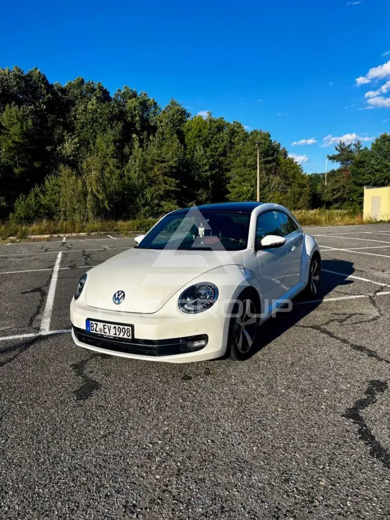 2012 Volkswagen BEETLE
