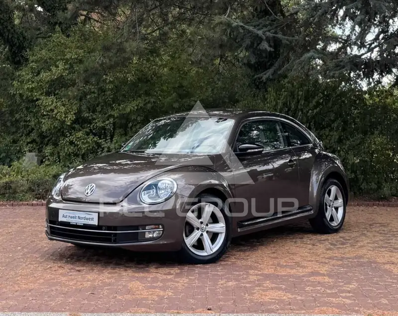 2012 Volkswagen BEETLE