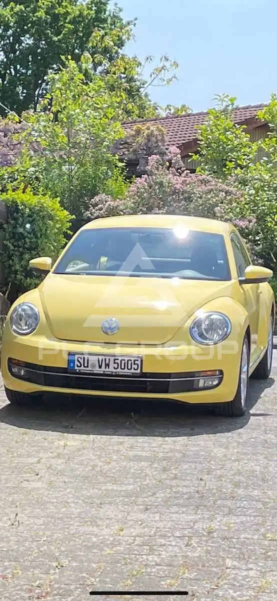 2012 Volkswagen BEETLE