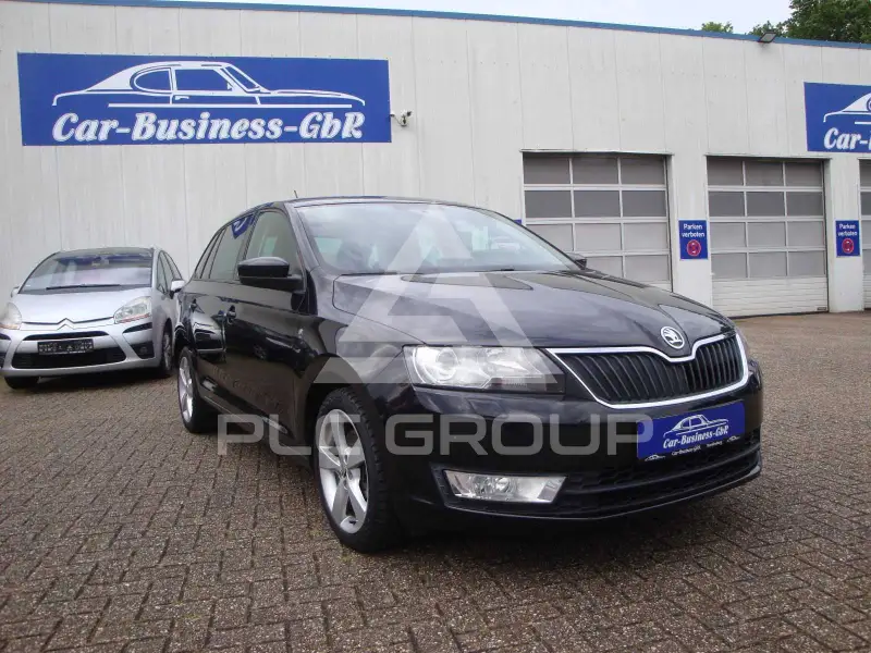 2013 Skoda Rapid