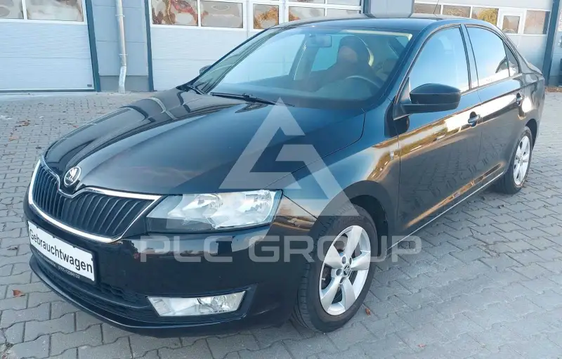 2013 Skoda Rapid