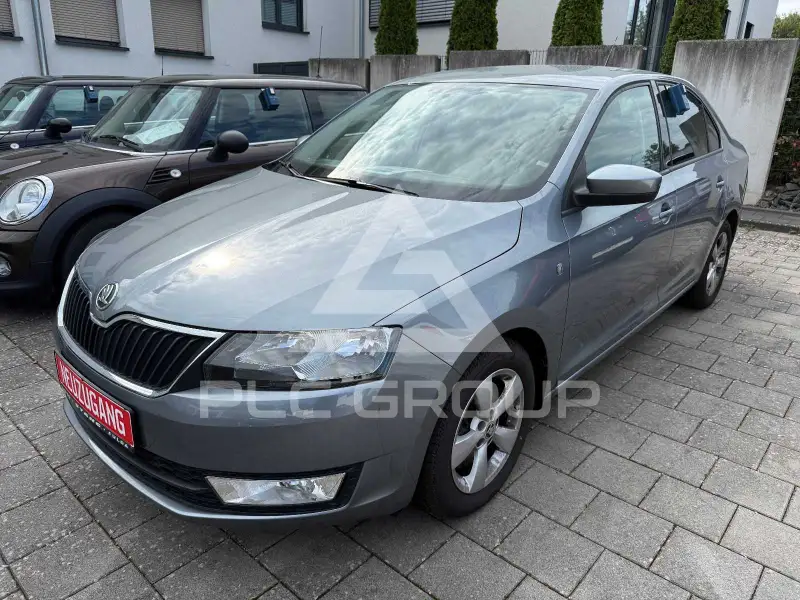 2013 Skoda Rapid