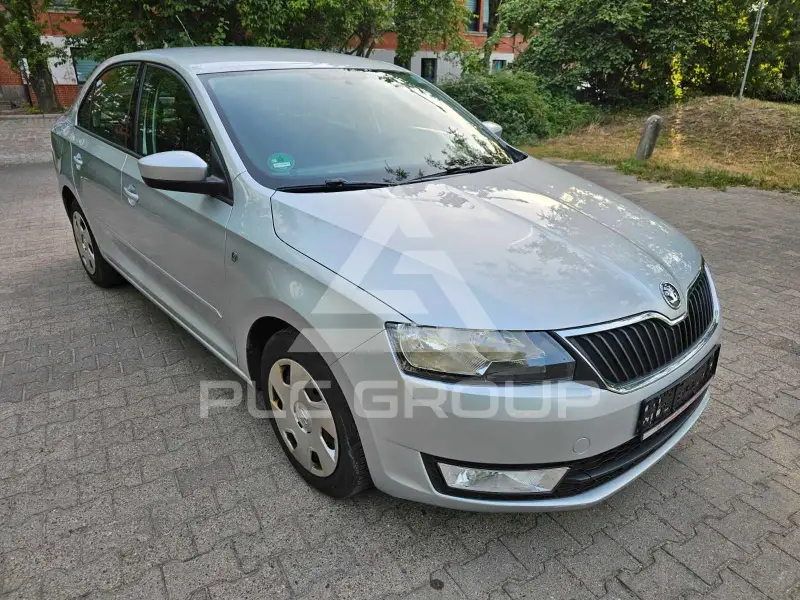2013 Skoda Rapid