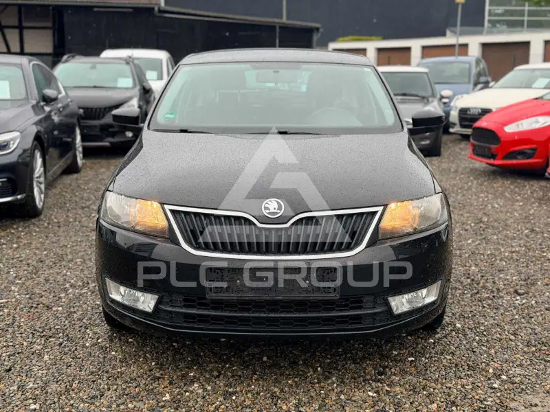 2013 Skoda Rapid