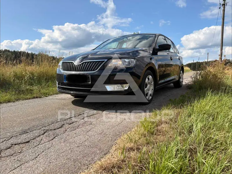 2013 Skoda Rapid