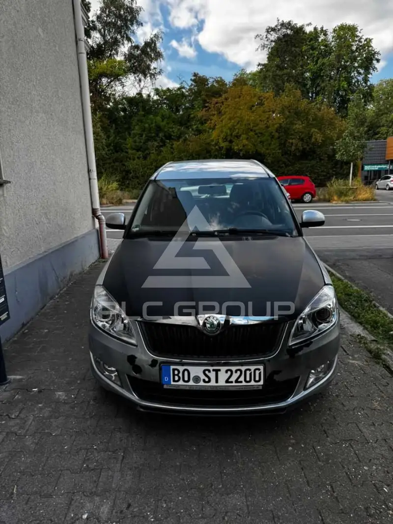 2013 Skoda Roomster