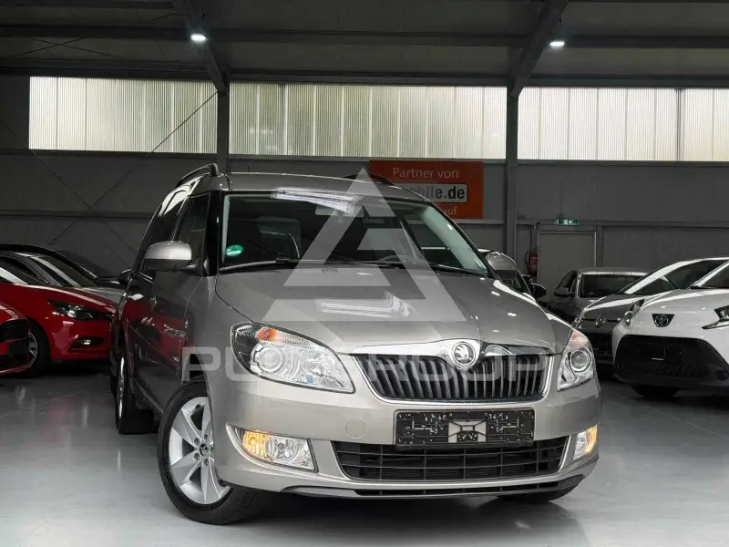 2013 Skoda Roomster