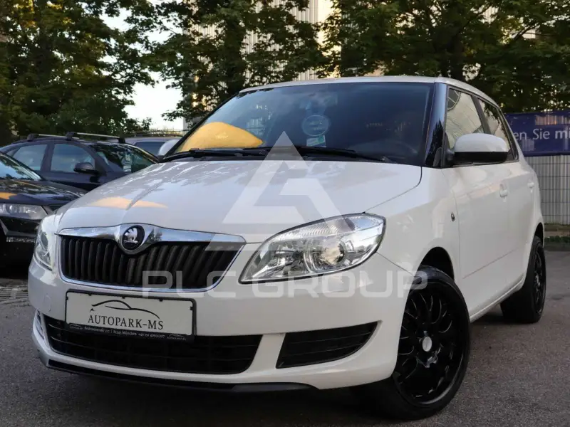 2013 Skoda Fabia