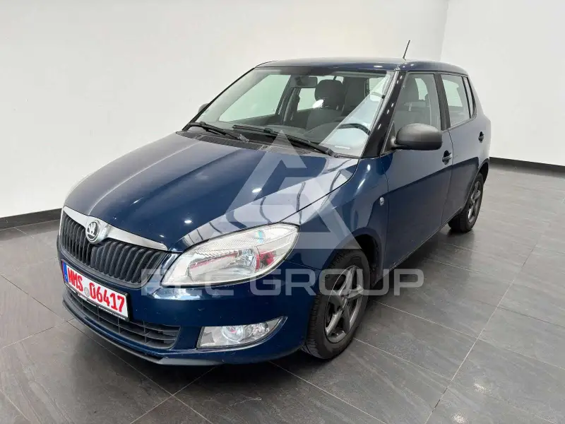2013 Skoda Fabia