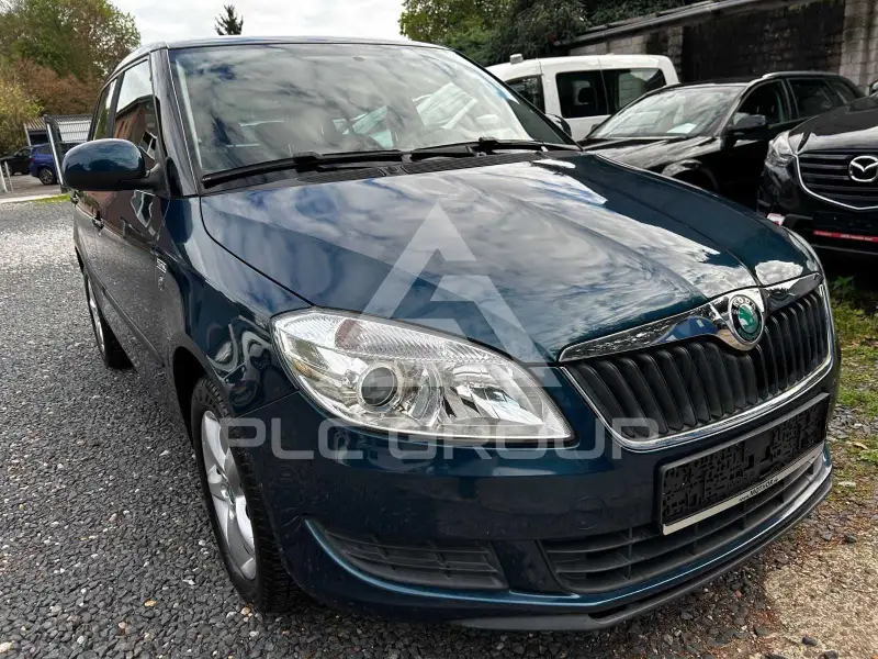 2013 Skoda Fabia