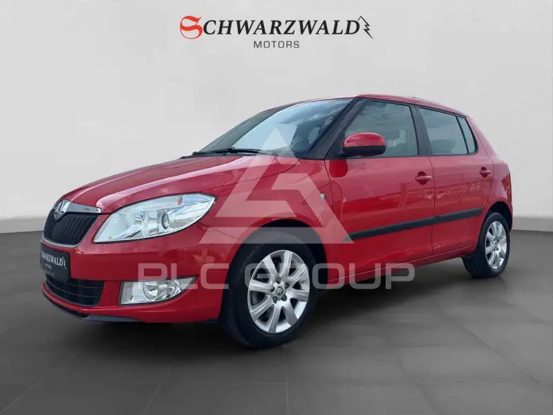 2013 Skoda Fabia