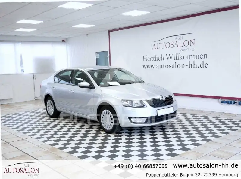2013 Skoda Octavia