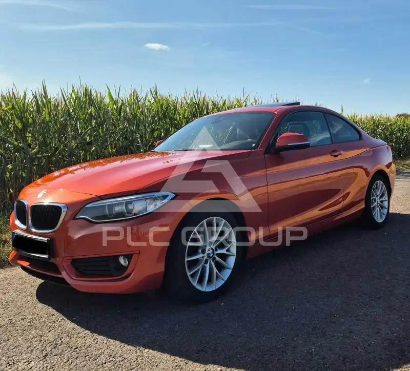 2013 BMW 220