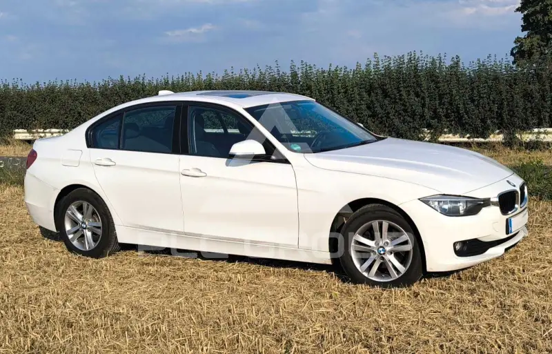 2013 BMW 316