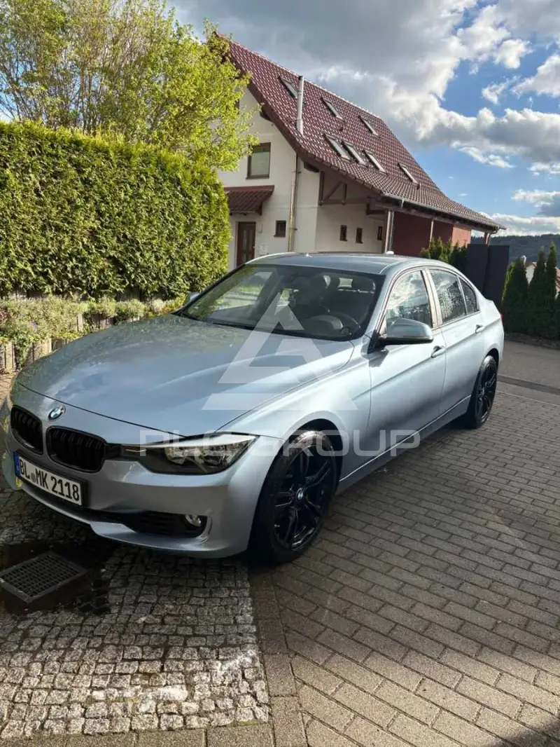 2013 BMW 316