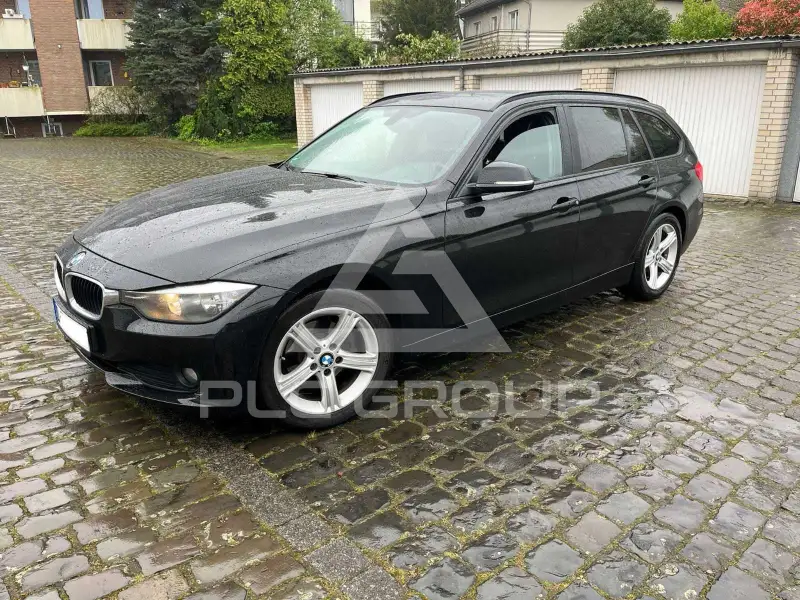 2013 BMW 316