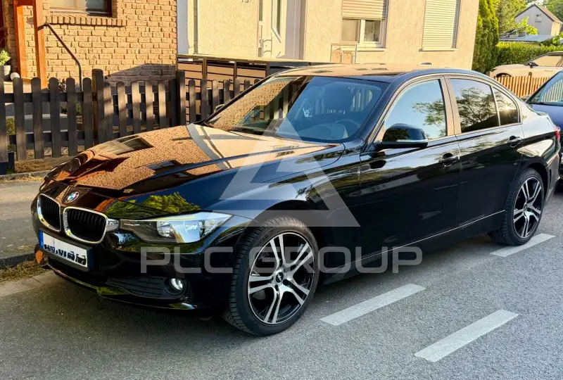 2013 BMW 316