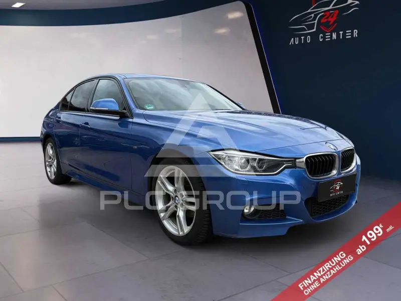 2013 BMW 316