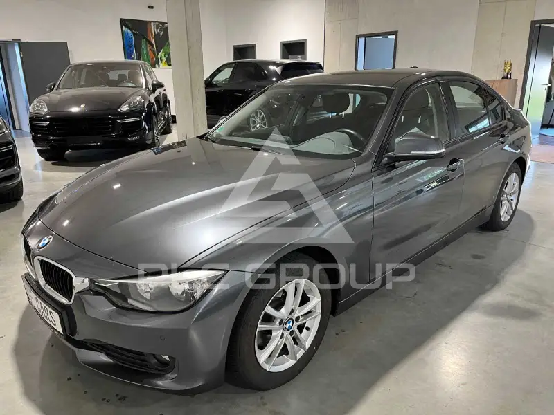 2013 BMW 316
