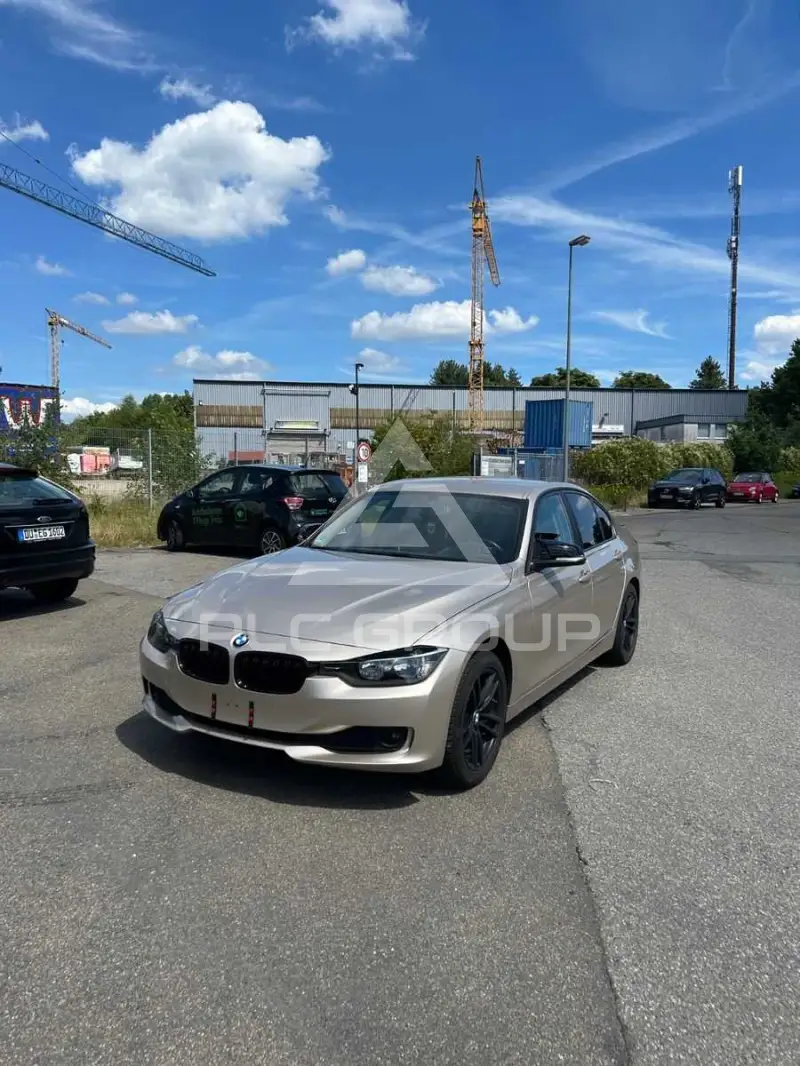 2013 BMW 316