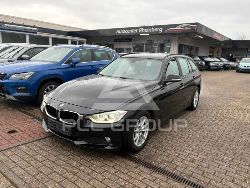 2013 BMW 316