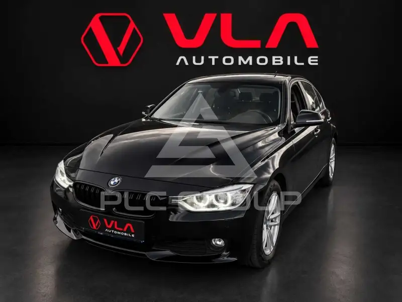 2013 BMW 316