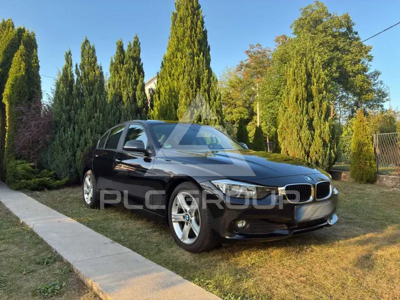 2013 BMW 316