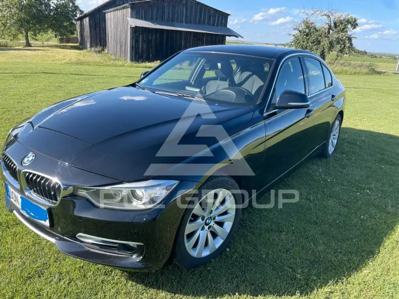 2013 BMW 316