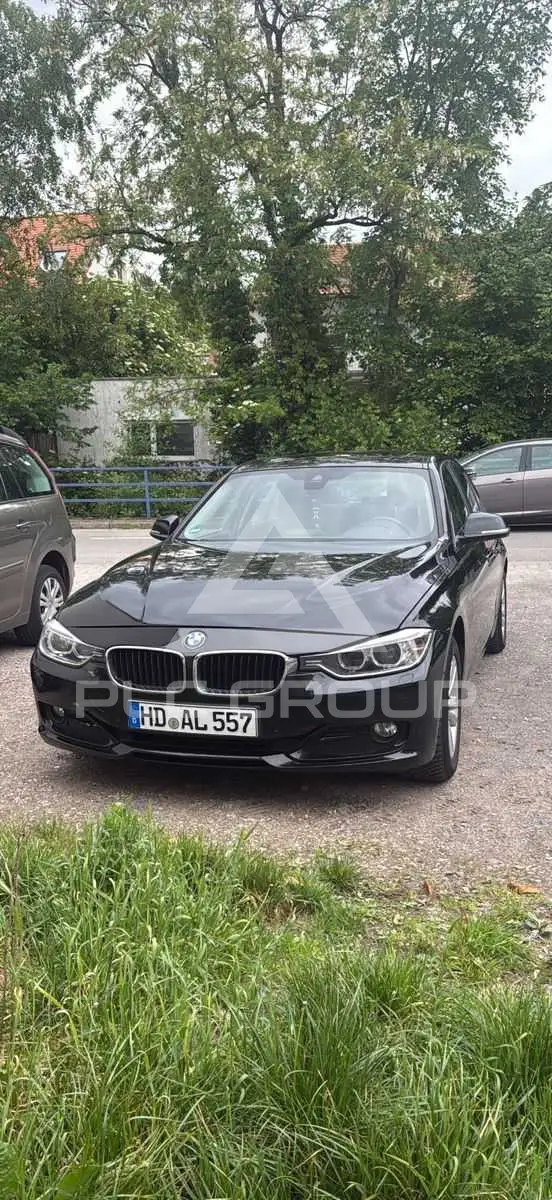 2013 BMW 316
