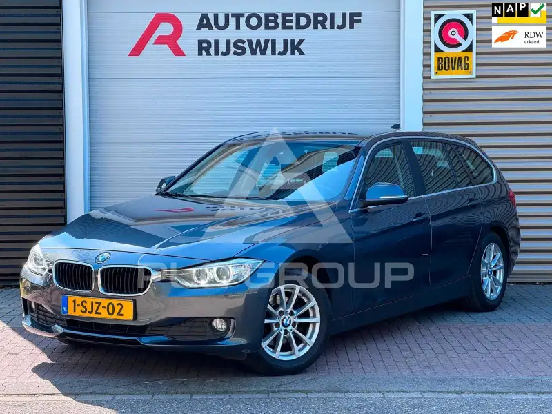 2013 BMW 316