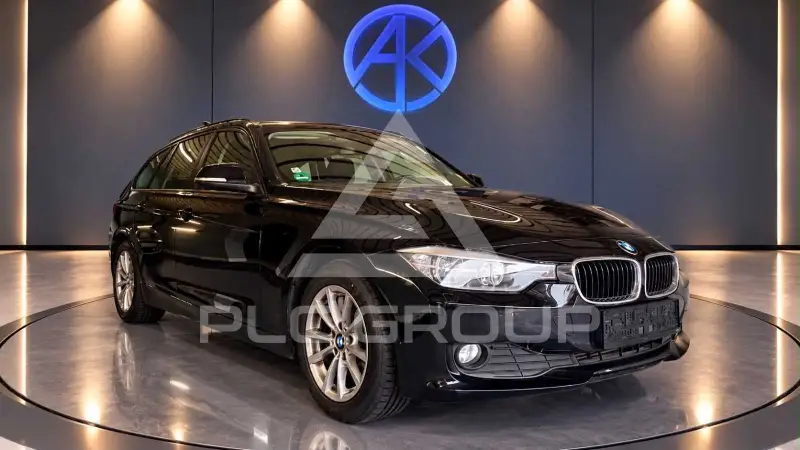 2013 BMW 316