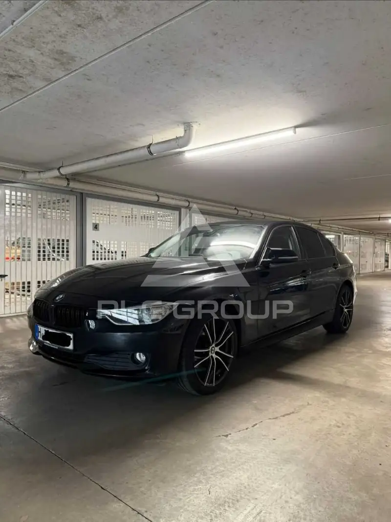 2013 BMW 316