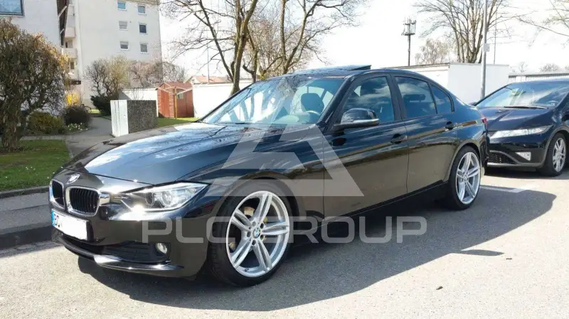 2013 BMW 316