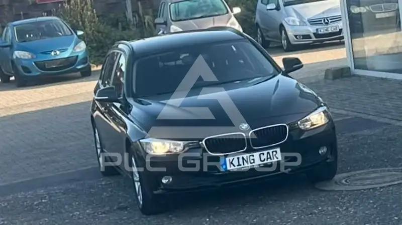 2013 BMW 316