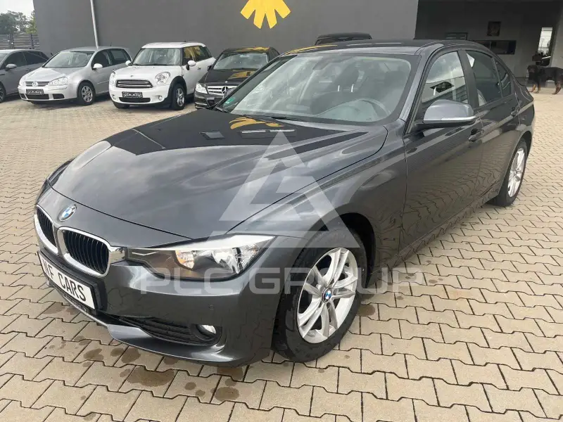 2013 BMW 316