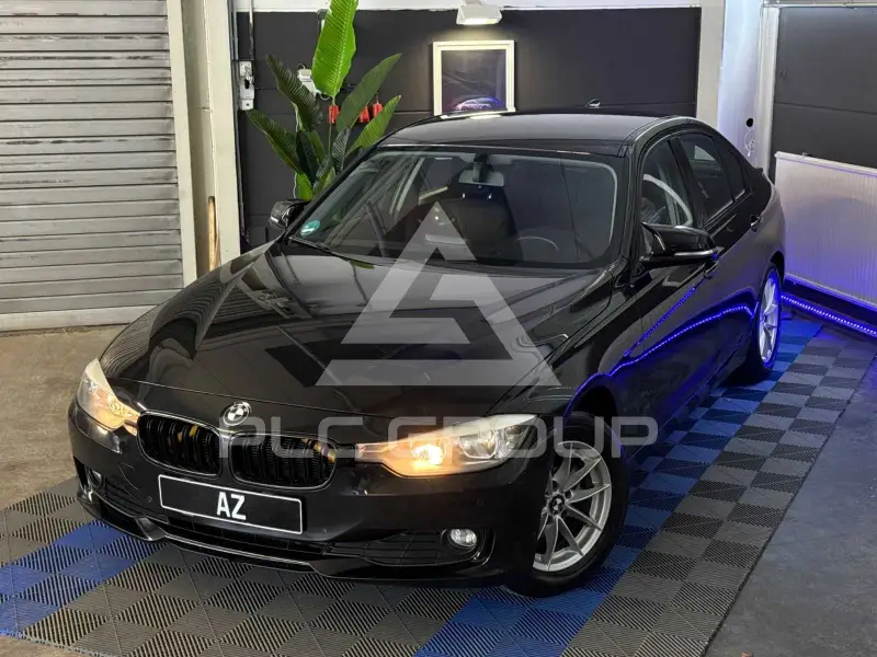 2013 BMW 316