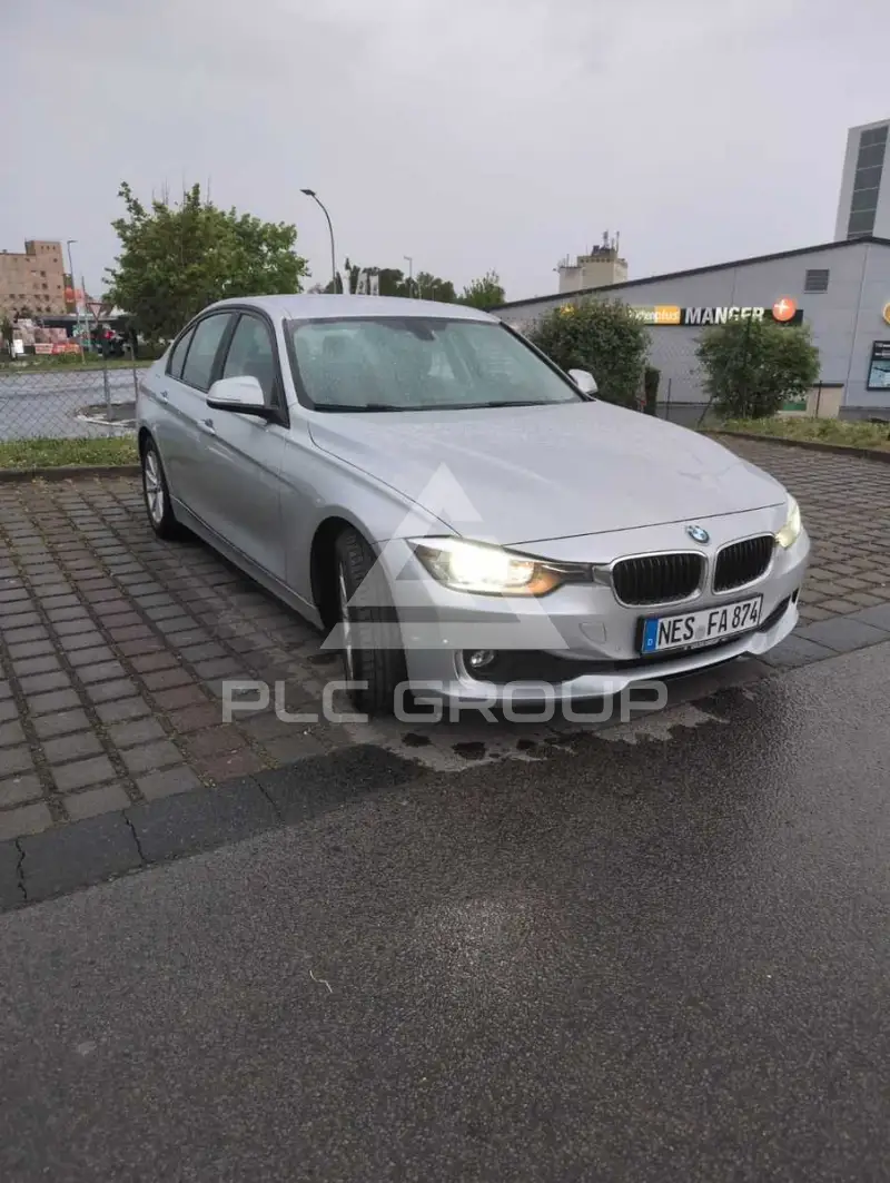 2013 BMW 316