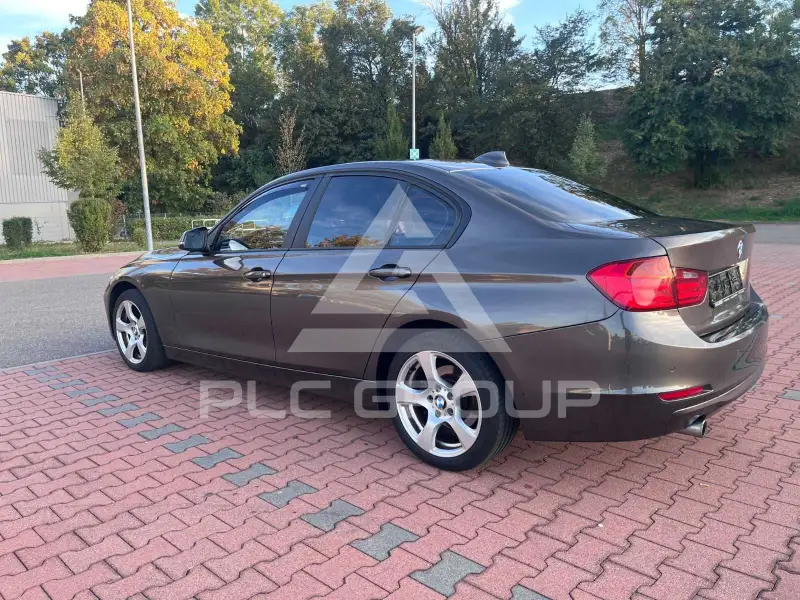 2013 BMW 316
