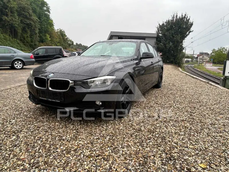 2013 BMW 316