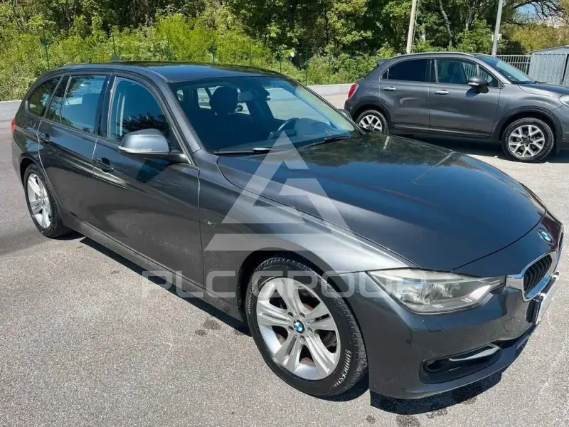 2013 BMW 316