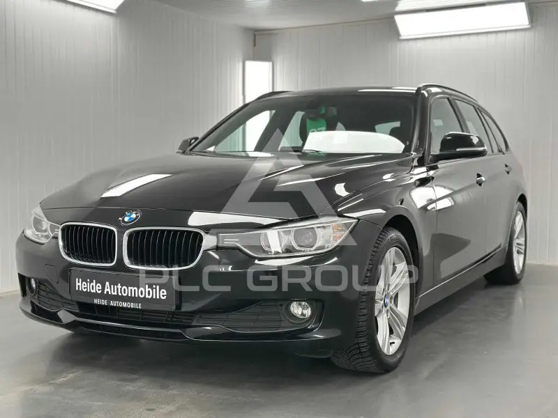 2013 BMW 316
