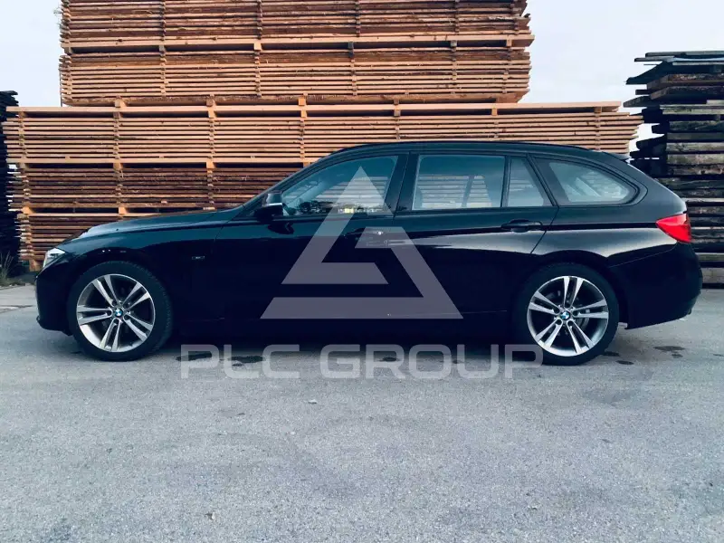 2013 BMW 316