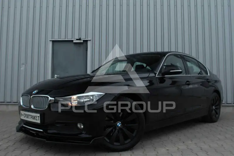 2013 BMW 316